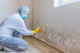 Best Forensic Mold Investigation  in Lechee, AZ